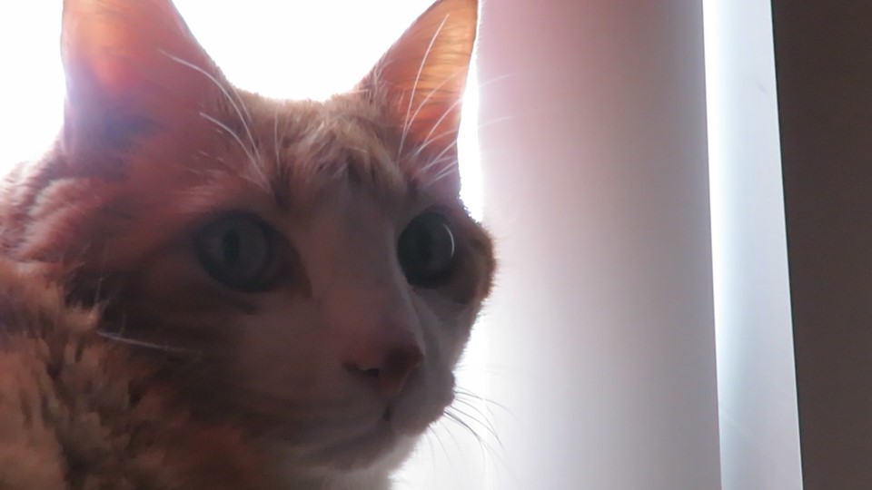 61641724_10161794094525223_3576009029282955264_n