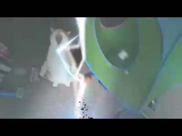 61563977_10161805750450223_6558041098189537280_n