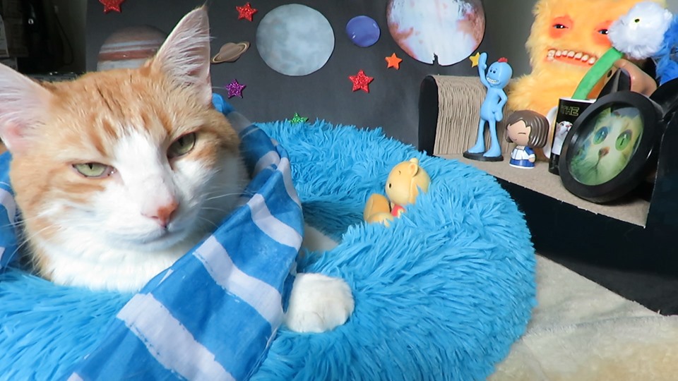 61763223_10161818489275223_1627855651008937984_n