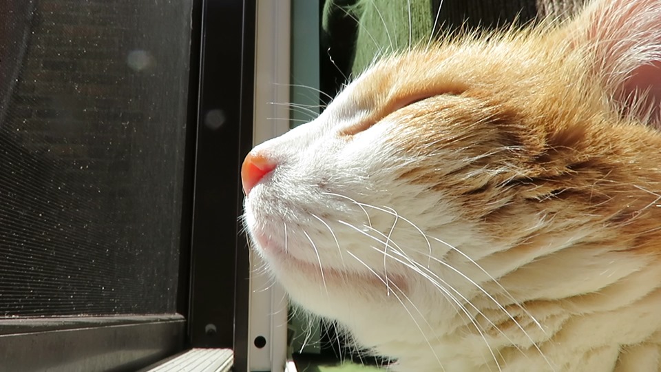 61902302_10161830638365223_7888748904248770560_n