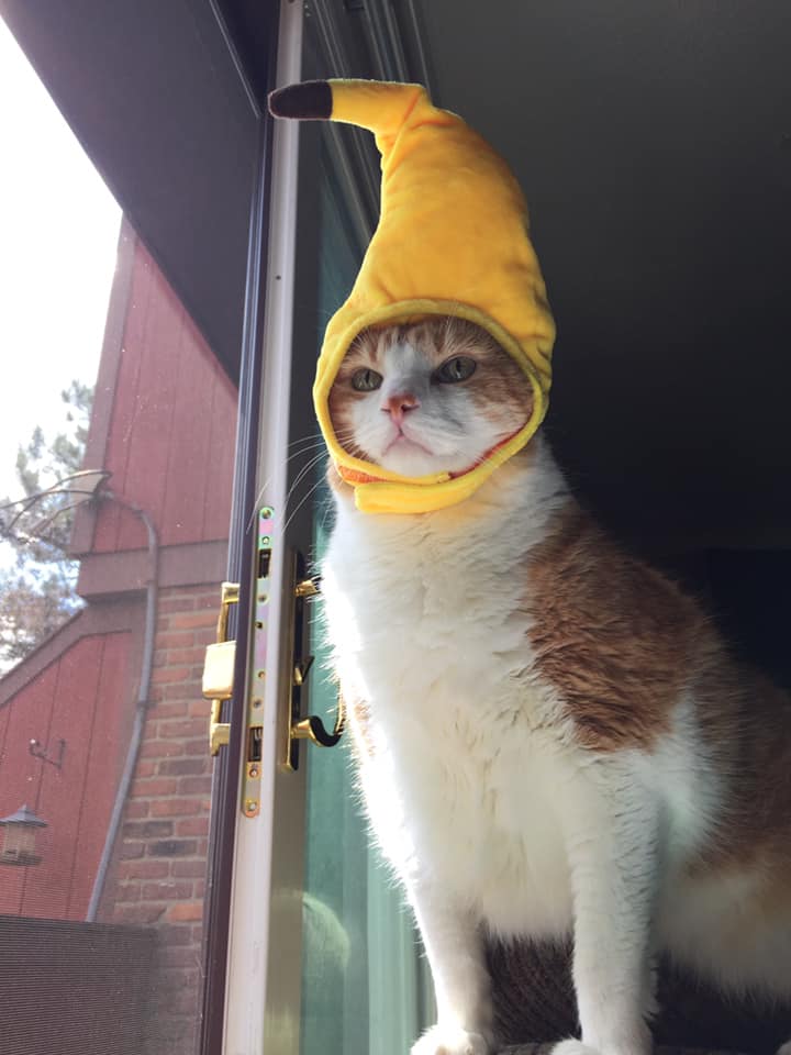 61941819_10161843256435223_1547864990382292992_n