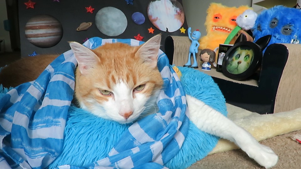 61978631_10161818489265223_2317767431860256768_n