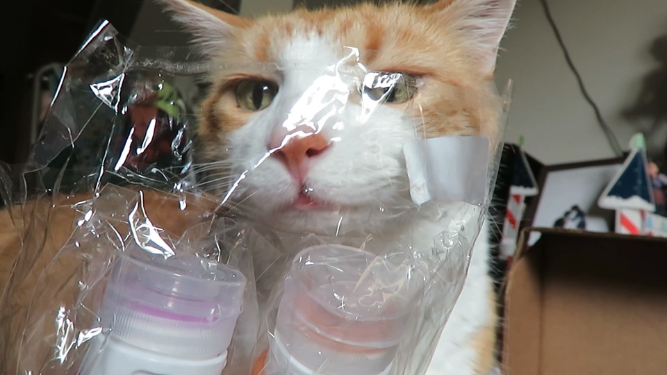 62111074_10161822027535223_2557956593056481280_n