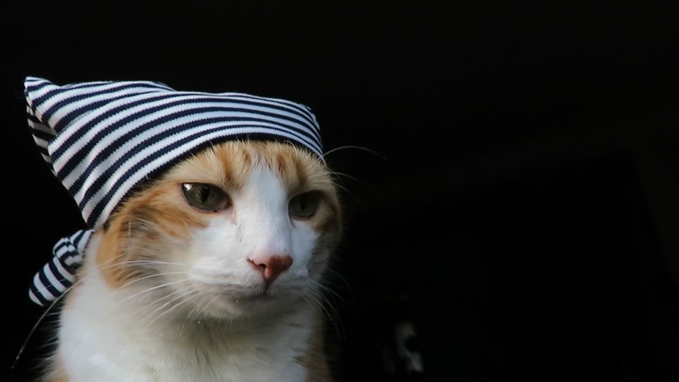 64417907_10161892691445223_1674988433136680960_n