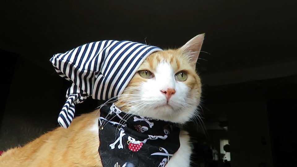 64651689_10161904814105223_7229611161073745920_n