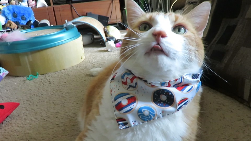 65822894_10161950732870223_4392318764192890880_n