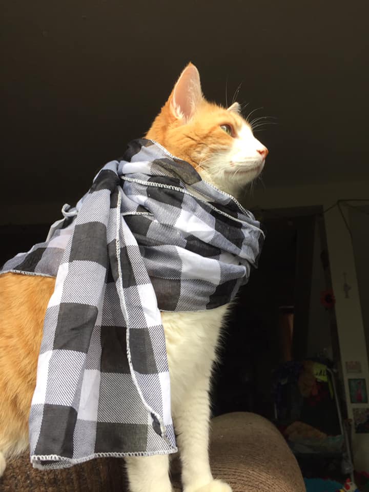 66150659_10161949994555223_5746351639988535296_n