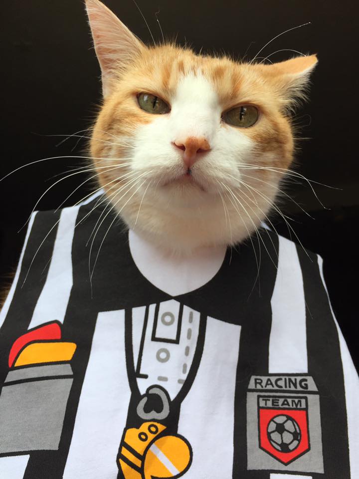 66168245_10161972052740223_8528283815389429760_n