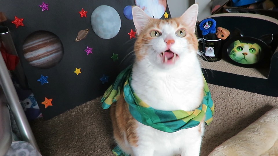 66489007_10161981721265223_2761985449630105600_n