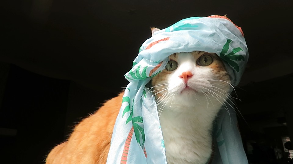 66583948_10161977700900223_506046859429543936_n