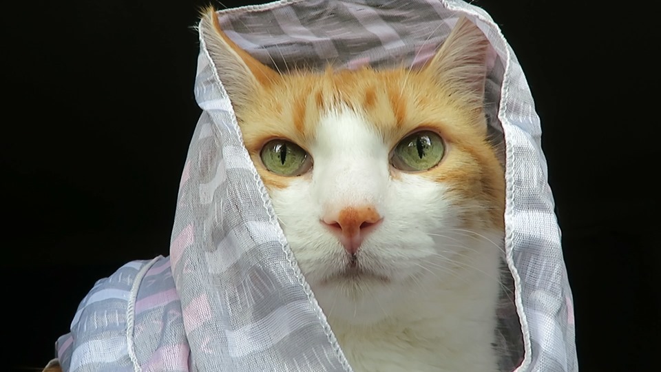 66759472_10161977699280223_2765830175504465920_n