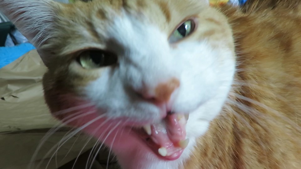 67186662_10162041098915223_8822203713243316224_n