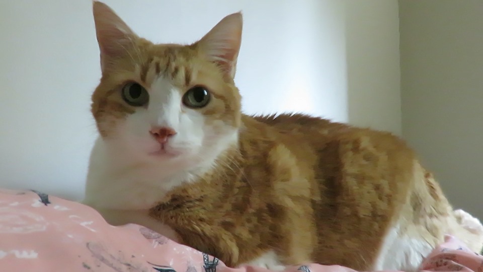 67612156_10162025517855223_6421364531477348352_n