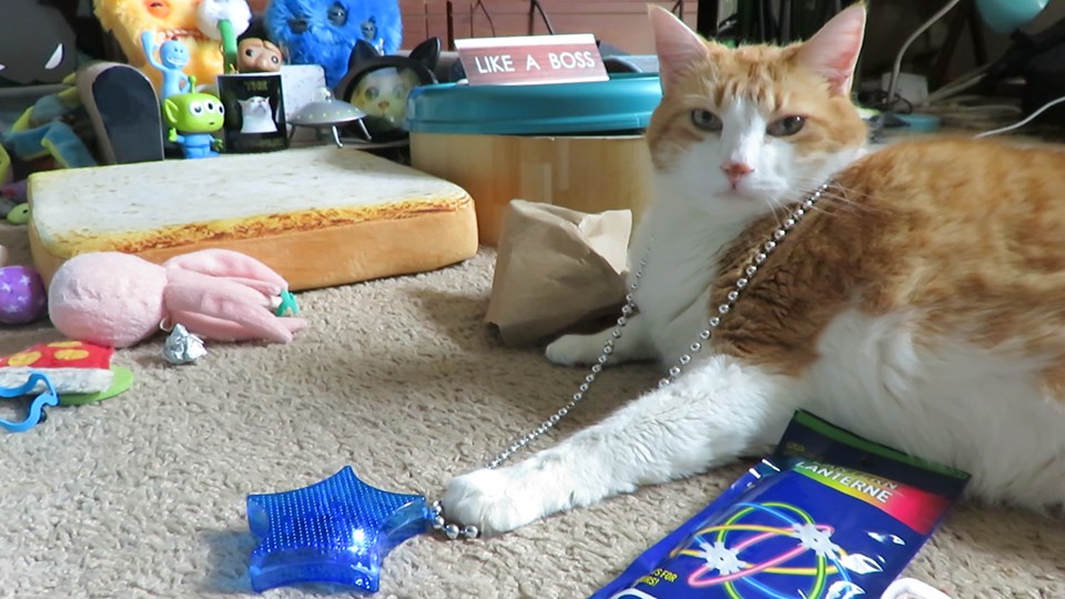 67636736_10162071728925223_7700928274997706752_n