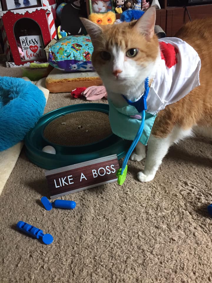 66097093_10161958007585223_7031891065997099008_n