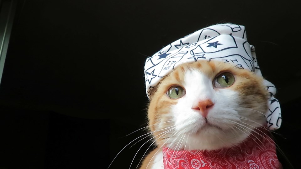 69484448_10162197969640223_6326151235443359744_n