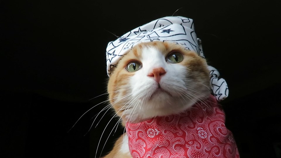 69512279_10162197969890223_286812749181222912_n