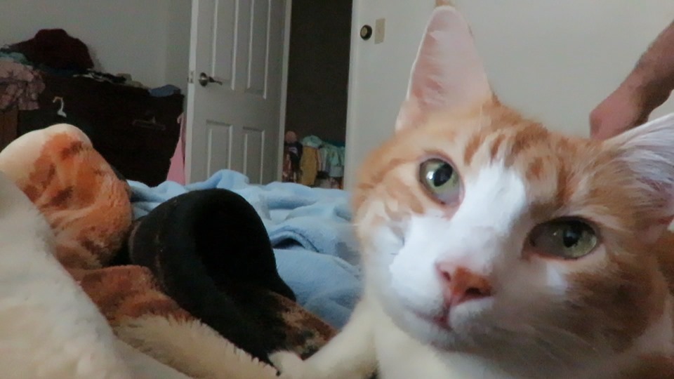 69652297_10162206145225223_3179076999419265024_n