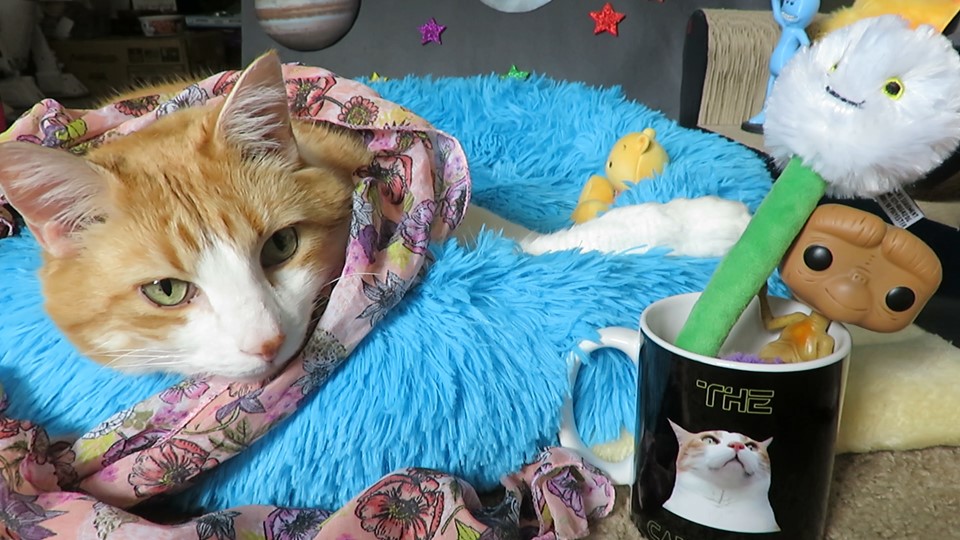 69871900_10162242056480223_4480695808026476544_n