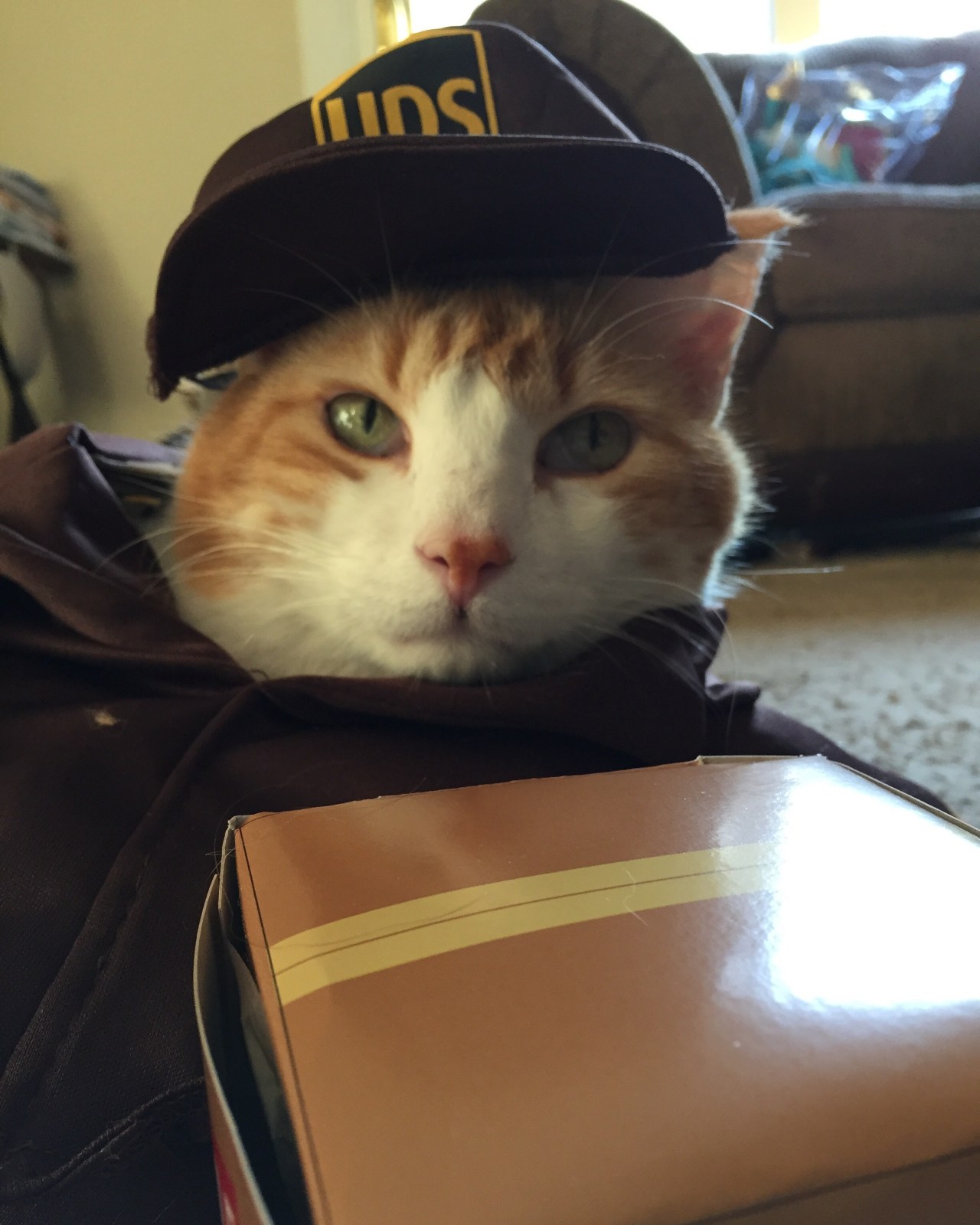 c97e5aae-3bd3-4644-a030-c6e241dadd03