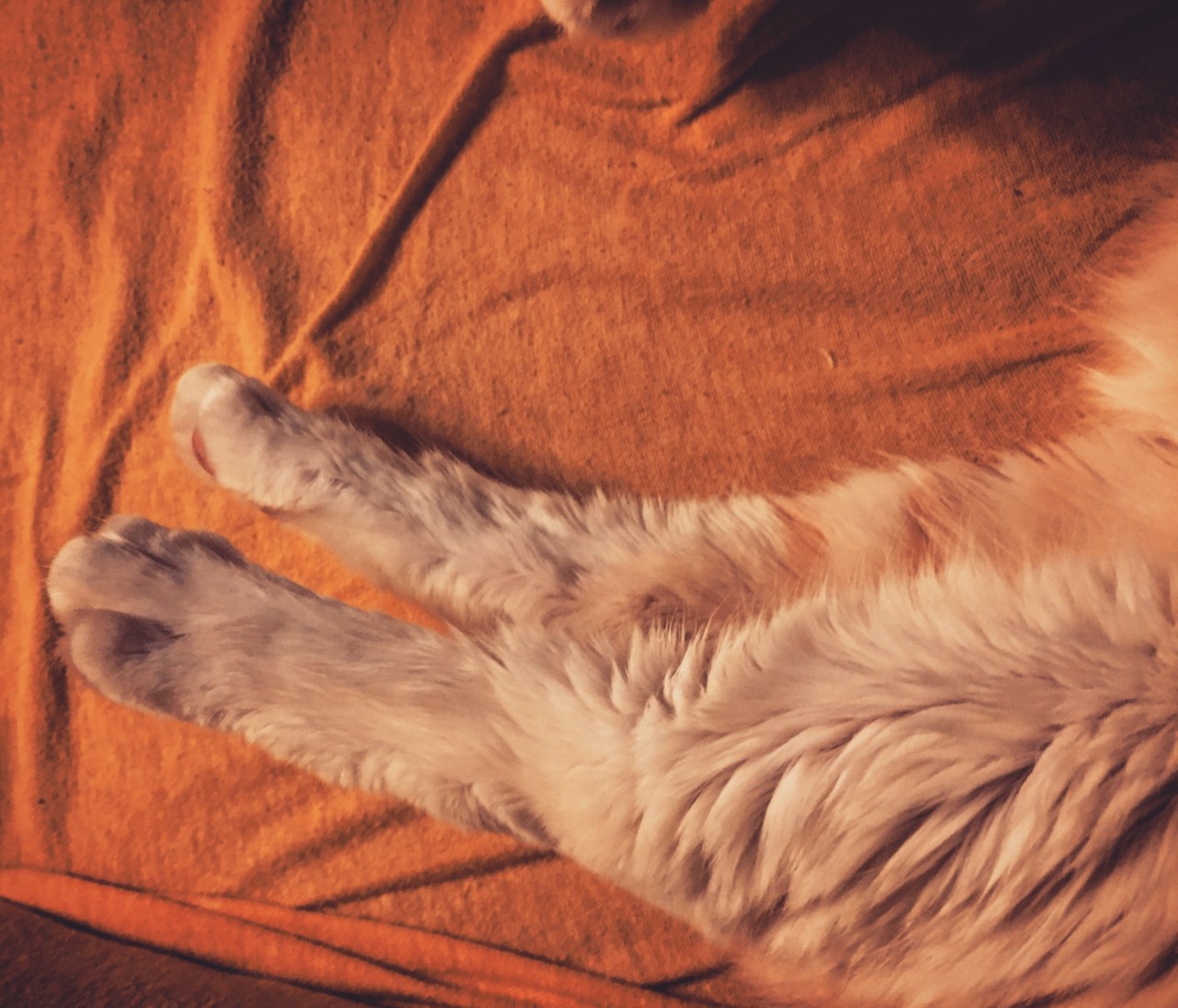 e943b887-564d-4522-8953-4751e34ac4a1