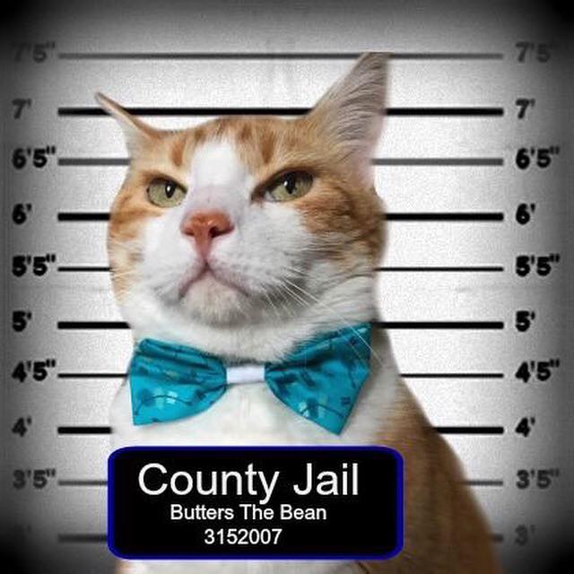 17098702_593499014181731_516530275735945337_n