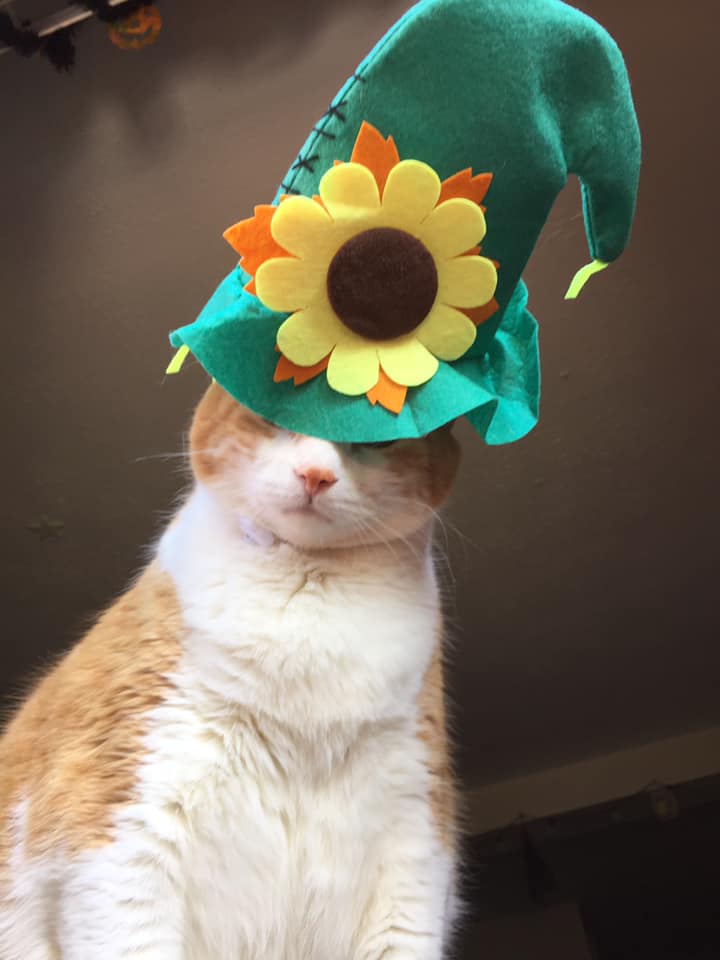 72303445_10162361808815223_3799548659561922560_n