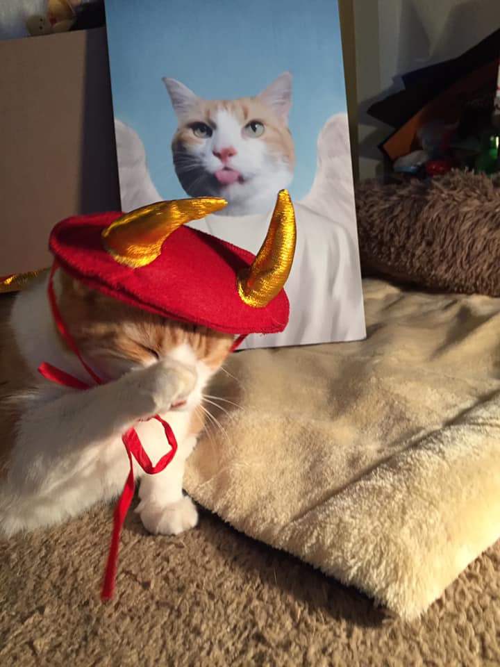 74439672_10162488273315223_2385712916834811904_n