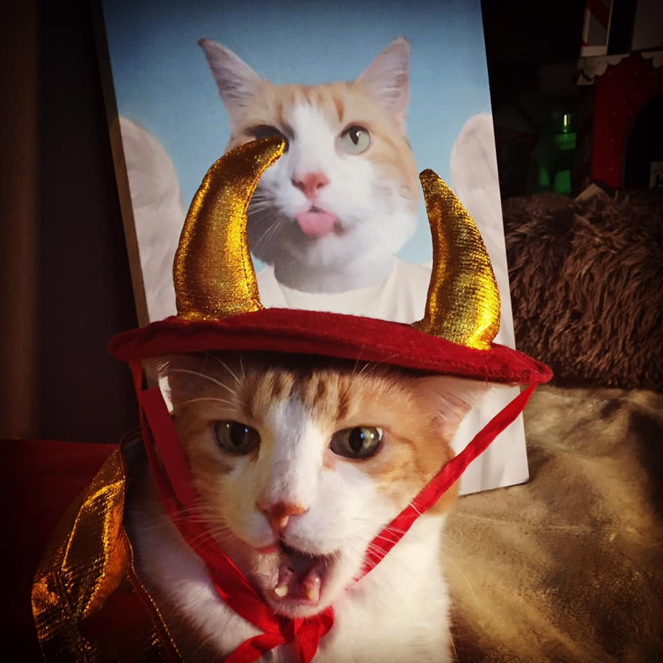 75543524_10162492260030223_5826485722458095616_n