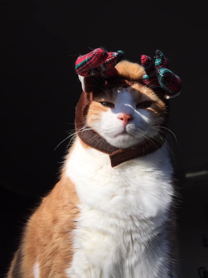 78707390_10162630509920223_1366259878888210432_n