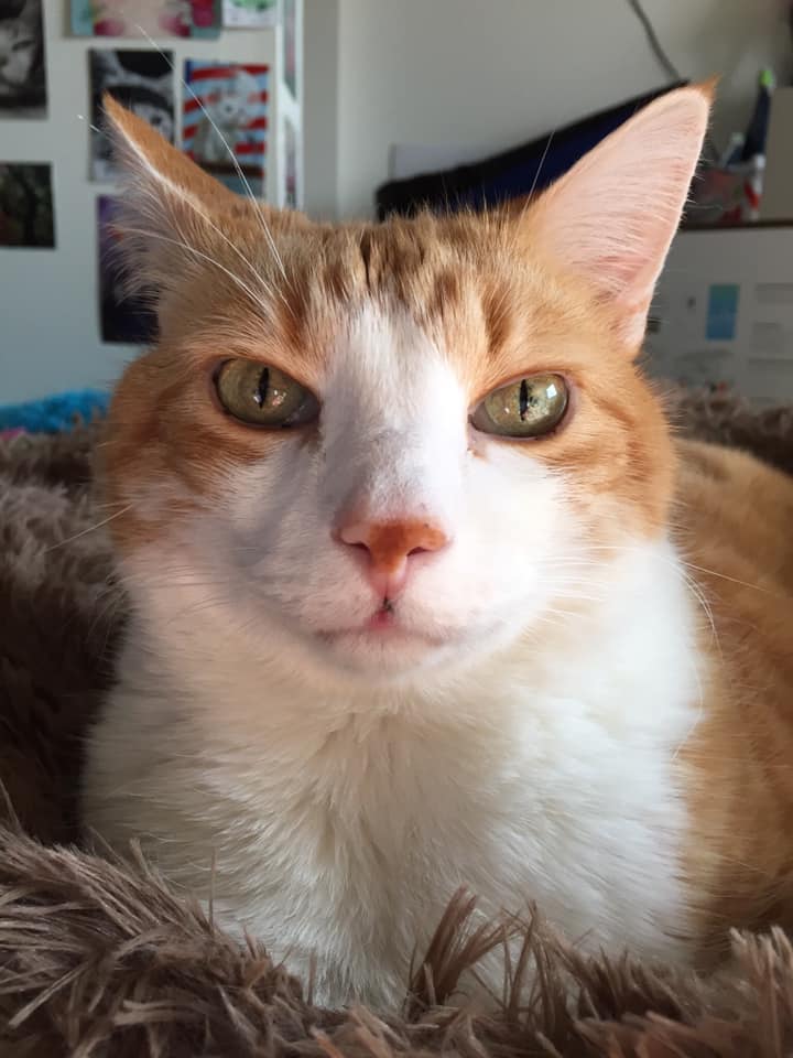 78756069_10162630509955223_2889759665829183488_n