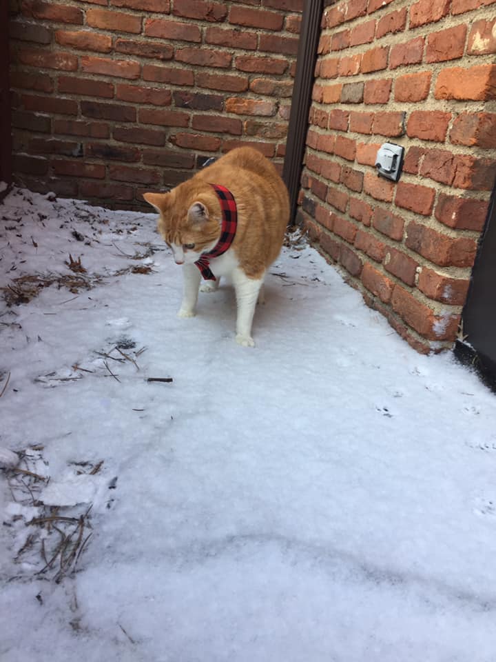 80080470_10162700698200223_1717906654051172352_n