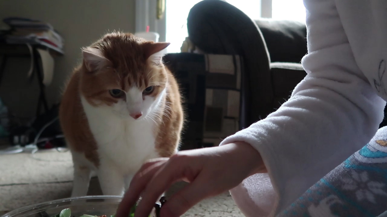 buttershelpsmakelunch1